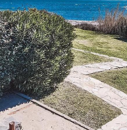 Casa A Schiera Le Tonnare - Affitti Brevi Italia Lejlighed Stintino Eksteriør billede